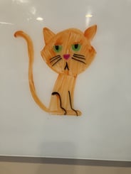Miranda cat drawing
