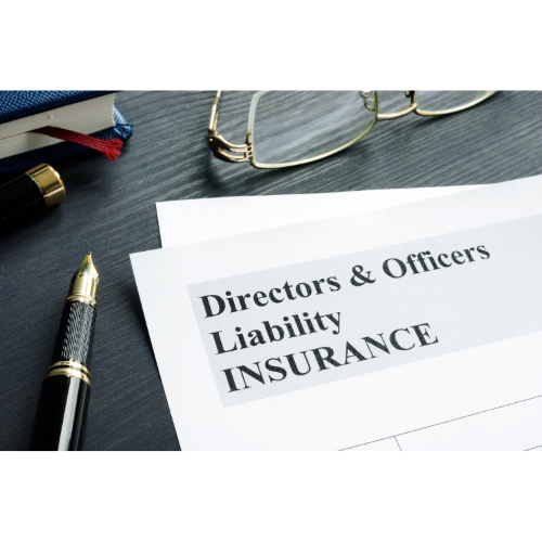D&O liability insurance is crucial to have in place for any board of directors.